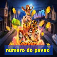 numero do pavao